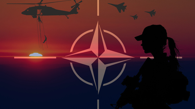 NATO vacancies: Types of roles, requirements and where to find opportunities